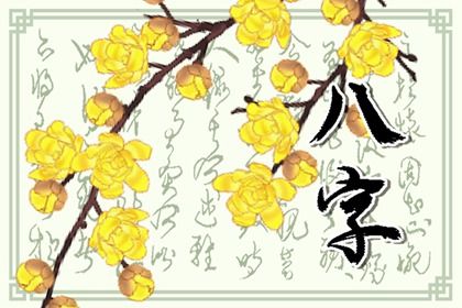 五行分析:偏枯与平衡